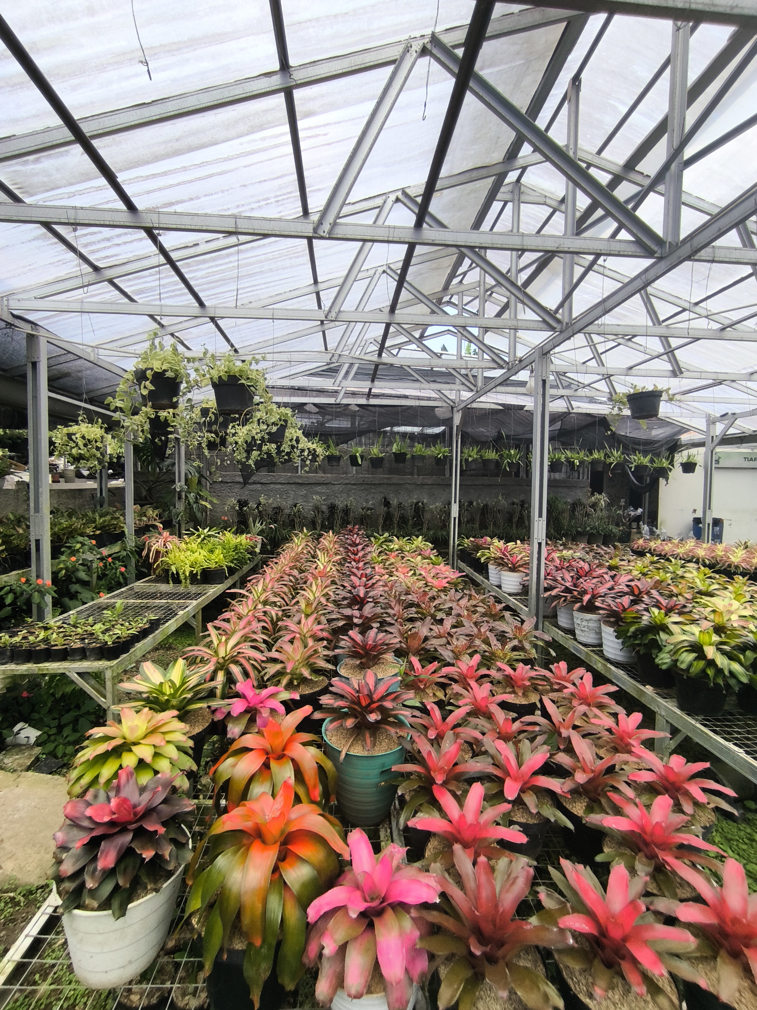 Proses Perawatan Tanaman